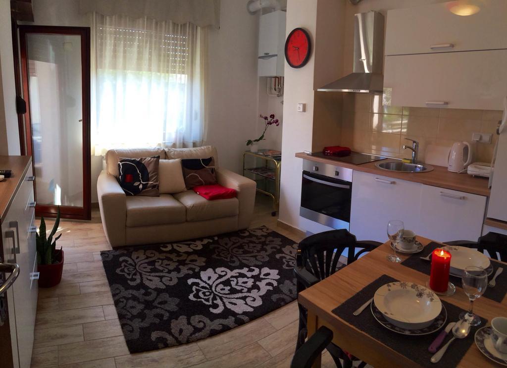Apartments Ziher ザグレブ 部屋 写真